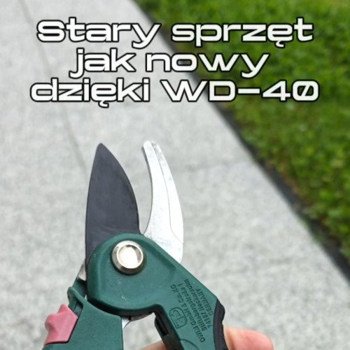 Stary sekator odzyskał życie