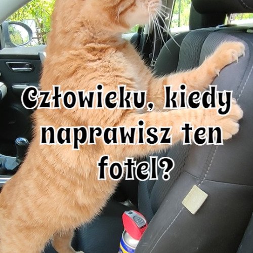 Potrzeba matką renowacji - naprawa fotela